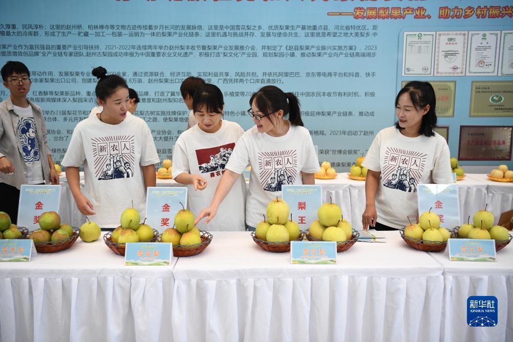 美高梅手机网上游戏